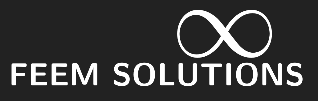 FEEM Solutions